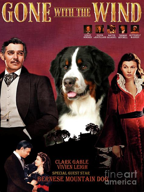 bernese mountain dog movie